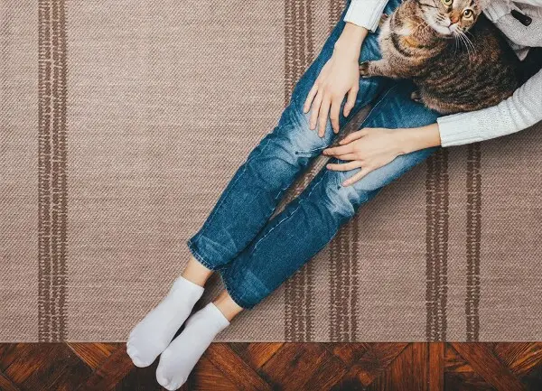 Vinylový koberec pre domácnosť Brown v riadkoch