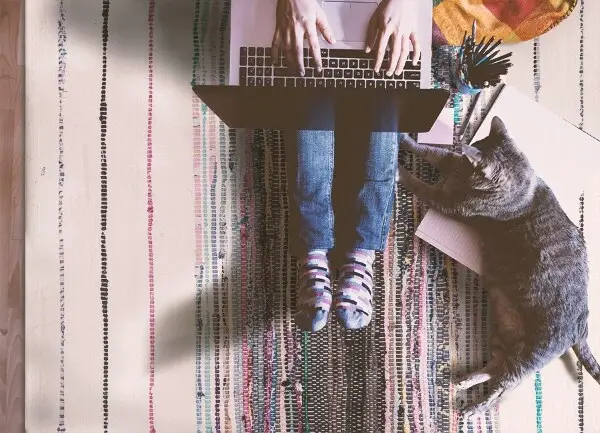 Vinylová rohož pre domácnosť farebné pruhy