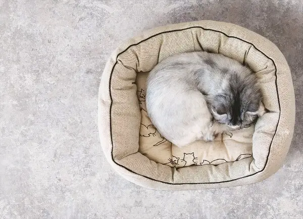 Univerzálny vinylový koberec cement štruktúra